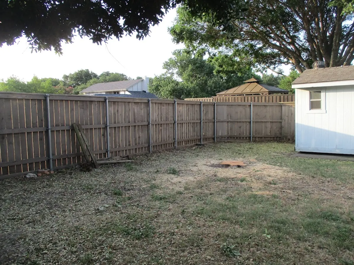 Cleared yard after professional tree removal in Bovill